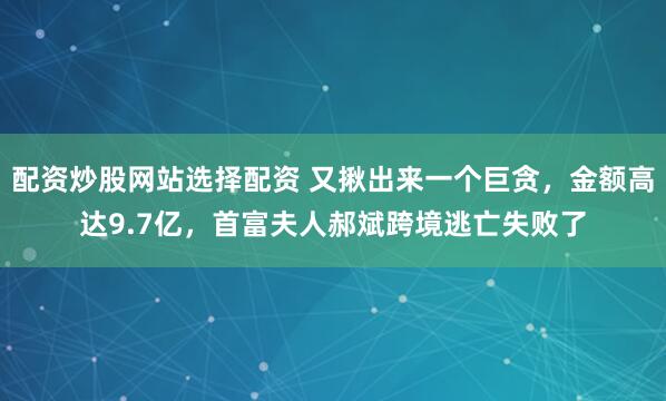配资炒股网站选择配资 又揪出来一个巨贪，金额高达9.7亿，首富夫人郝斌跨境逃亡失败了