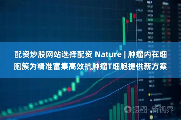 配资炒股网站选择配资 Nature | 肿瘤内在细胞簇为精准富集高效抗肿瘤T细胞提供新方案