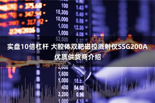 实盘10倍杠杆 大腔体双靶磁控溅射仪SSG200A优质供货商介绍